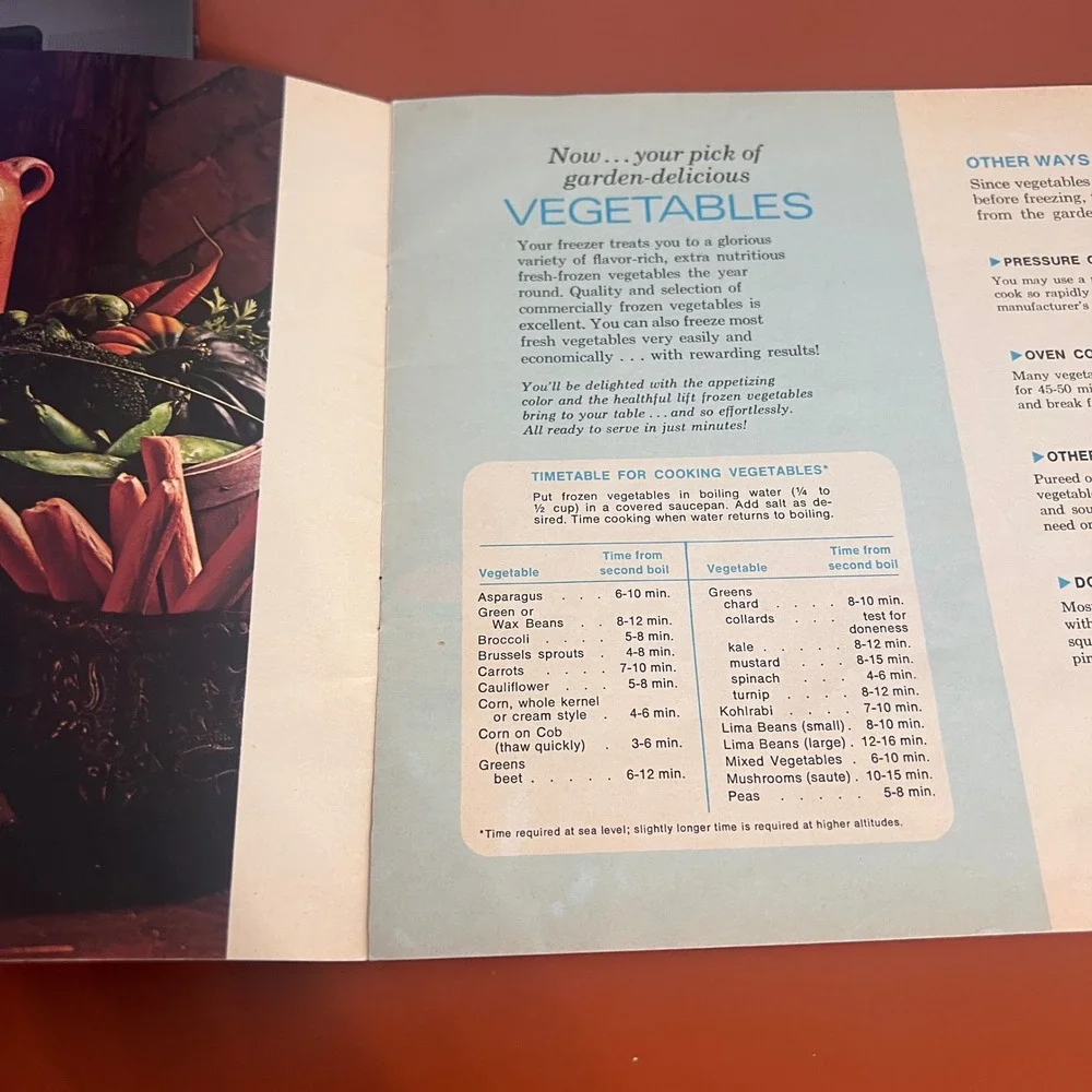 Vintage How To Make The Most Of Your Freezer Cookbook Booklet Mid Century